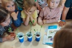IMG_20230524_110750
