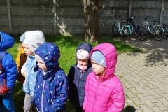 IMG_20230426_105309