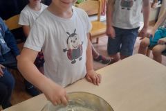 20240604_100638_copy_3000x4000