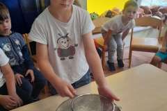 20240604_100742_copy_3000x4000