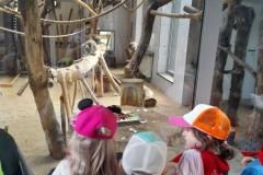 20240606_115548_copy_3000x4000