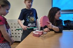 img_20260305_095849962_hdr_copy_3072x4096