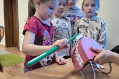 img_20260305_100128134_hdr_copy_3072x4096