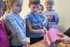 img_20260305_100257099_hdr_copy_3072x4096