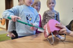 img_20260305_100523992_hdr_copy_3072x4096