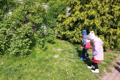 IMG_20250512_104547