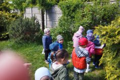 IMG_20250512_104606
