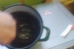 IMG_20230124_093242_copy_562x1000