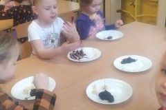 IMG_20230124_095753_copy_562x1000