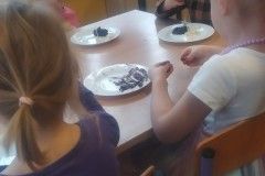 IMG_20230124_095808_copy_562x1000