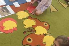 IMG_20240527_092207_copy_2088x4640