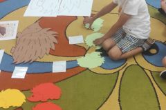 IMG_20240527_092403_copy_2088x4640