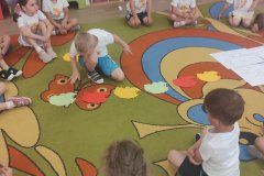 IMG_20240527_092734_copy_4640x2088