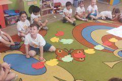 IMG_20240527_092815_copy_4640x2088