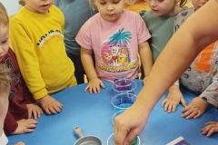 IMG_20221117_092212_copy_915x1627