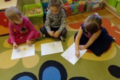 IMG_20221117_093201