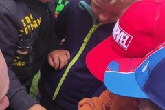 IMG_20240508_101523_copy_2088x4640