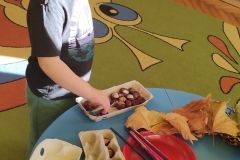 IMG_20221108_092822_copy_817x1817
