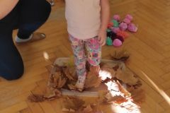 IMG_20221108_092842_copy_877x1949
