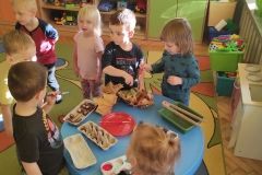 IMG_20221108_092950_copy_1768x795
