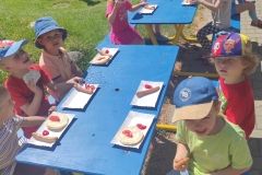 IMG_20230601_105223_copy_1573x708