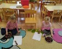image000006