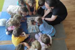 IMG_20250429_095413_copy_3805x2847_1