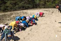 20250512_102041_copy_2750x1301