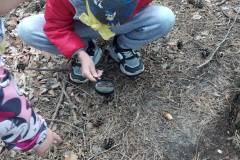 20250512_114437_copy_888x1876