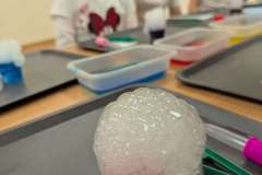 Compress_20260114_121728_8259