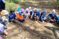 img_20250512_105539714_hdr_copy_2958x2227
