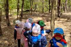 img_20250512_113306844_hdr_copy_2015x2676