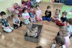 IMG_20240328_101205847