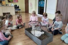 IMG_20240328_101250825