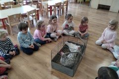 IMG_20240328_101301392