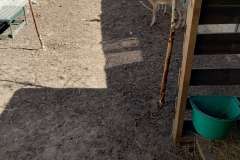 img_20240513_095211648_hdr_copy_2710x3599