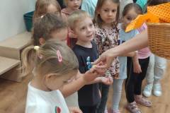 20250529_113236_copy_1968x4160
