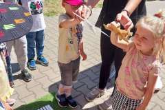 20240527_131751_copy_2895x3860