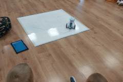 20250605_102404_copy_3060x4080