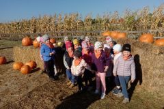 IMG_20221010_102733