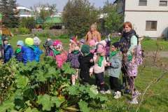 IMG_20240425_100426_copy_3471x1562
