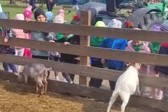 IMG_20240425_102753_copy_4640x2088