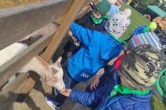 IMG_20240425_102826_copy_4640x2088