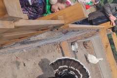 IMG_20240425_103659_copy_1925x4278