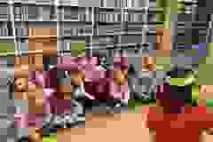 Zdjecie1-2