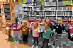 Zdjecie2