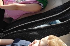 IMG_20230523_092617_copy_784x1743