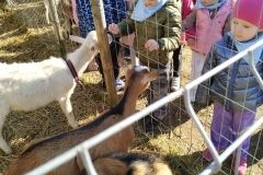 IMG_20221010_104059_copy_832x1109