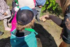 IMG_20250512_100634_copy_1733x2315_1