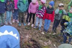 IMG_20250512_112211_copy_1562x2088_1